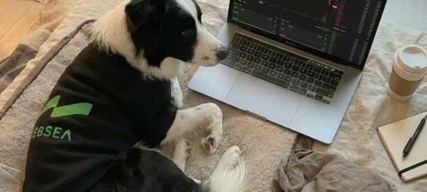 Why do some traders perform consistently well in cryptocurrency perpetual contract trading, while ot