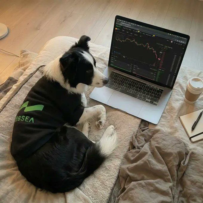 Why do some traders perform consistently well in cryptocurrency perpetual contract trading, while ot