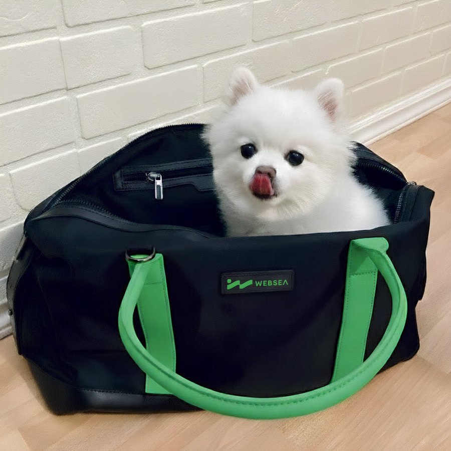 加密货币交易：10条核心风险管理与操作原则